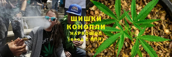 PSILOCYBIN Бородино